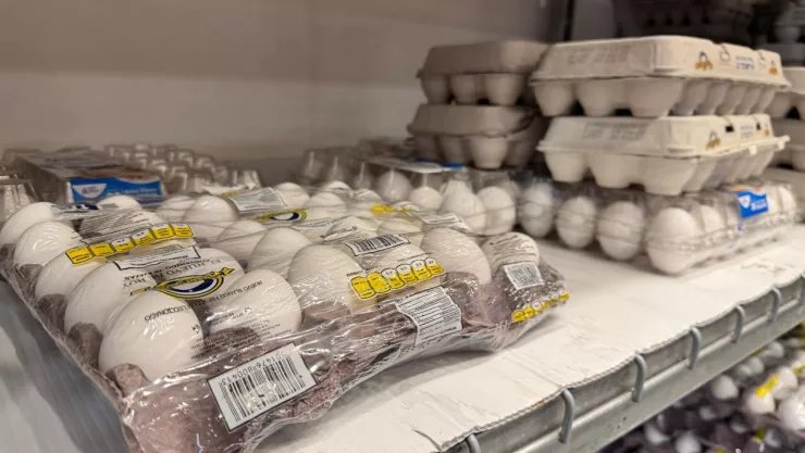 Precio del huevo en Mexico