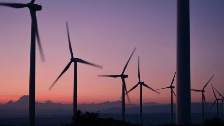 Imagen ilustrativa, Pixabay.