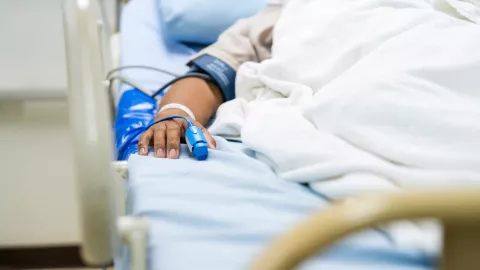 Muertes por gusano barrenador en México