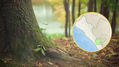 Nueva Área Natural Protegida en Sinaloa