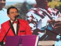 Algunos recordamos varias de nuestras canciones favoritas