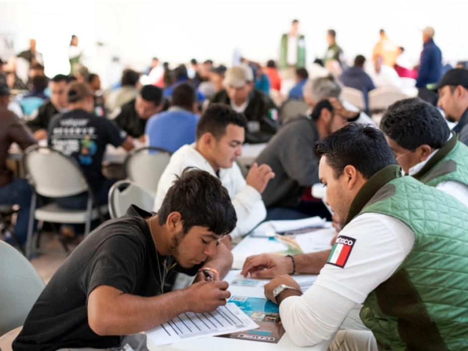 Trabajo a migrantes