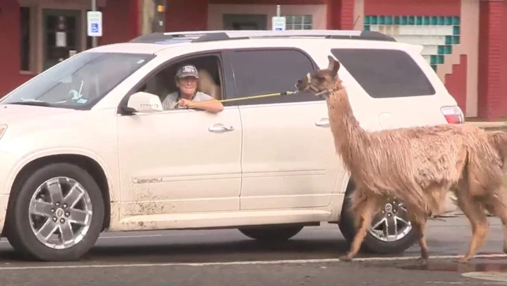 WhatsApp Image 2020-08-28 at 09.24.35.jpg.jpeg