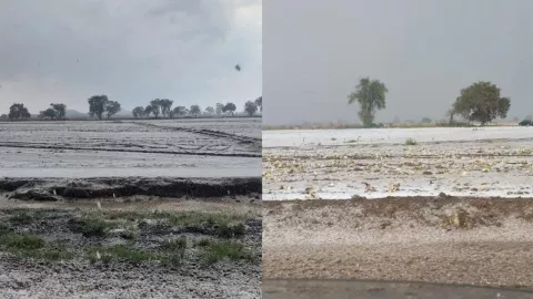 Nieve San Nicolás de los Ranchos