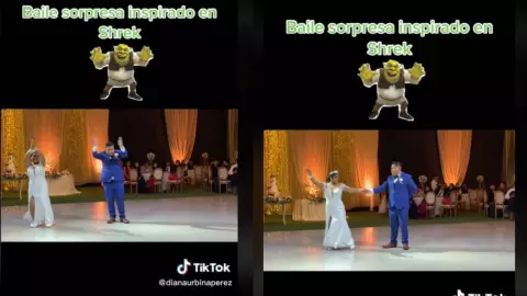 VIDEO_ Pareja baila al ritmo de Shrek en su BODA