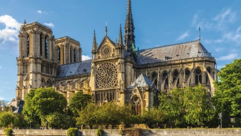 catedral notre dame portada