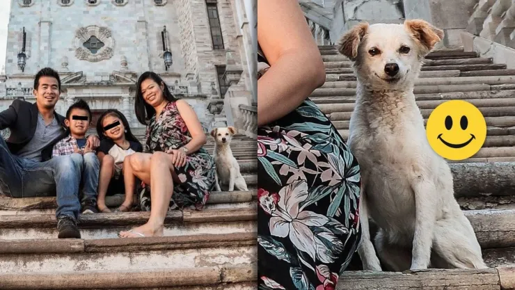 Perrito en la Universidad de Guanajuato