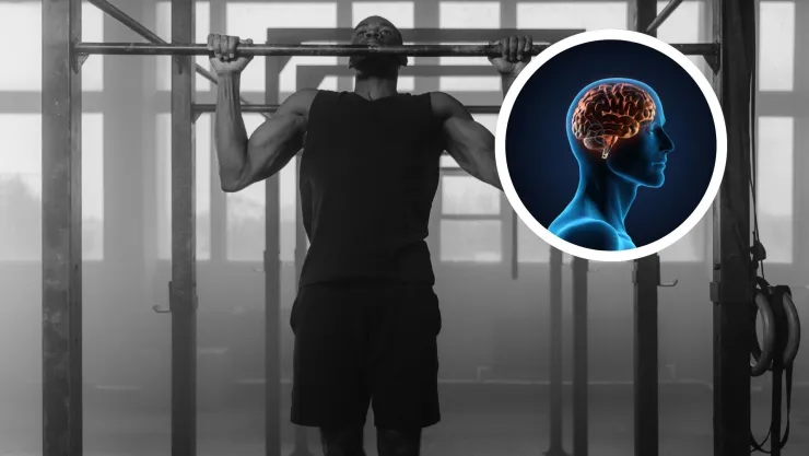 Cualquier movimiento no ayuda a la salud cerebral