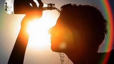 UNAM: cuarta ola de calor