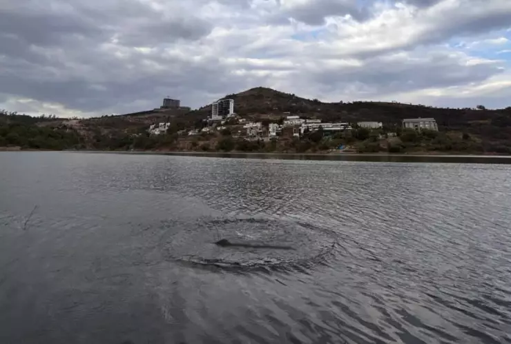 Dinosaurio en Atizapan.