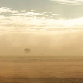 Polvo de Sahara