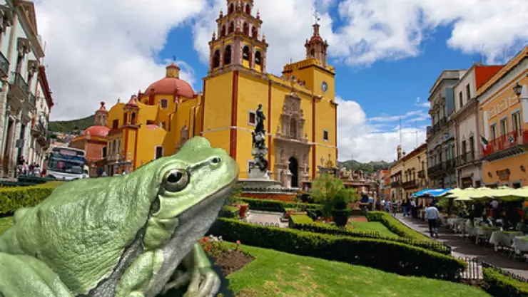 Qué significa Guanajuato