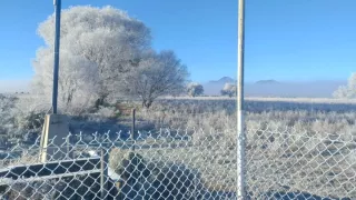 Helada en municipios de Veracruz