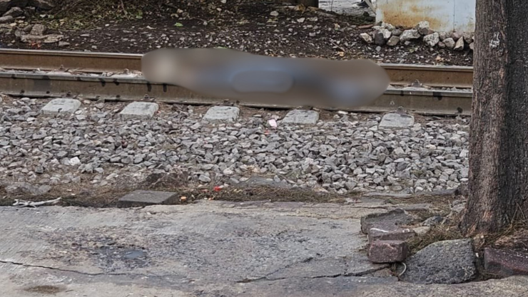 Muere hombre ATROPELLADO por el tren en la colonia Jorge Negrete