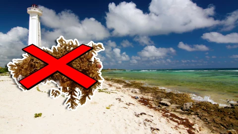 Conoce las playas libres de sargazo en Tulum, Carrillo Puerto, Bacalar, Mahahual y Chetumal HOY 22 de septiembre de 2025.jpg