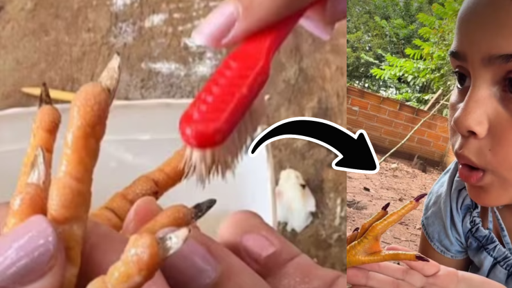 VIDEO_ ¡Qué elegancia! Gallina termina con las garras pintadas; niña quiso hacerle ‘pedicure’.webp