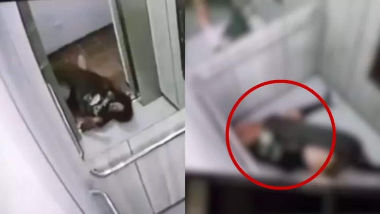 Captan en video ataque de pitbull a su dueña en Colombia