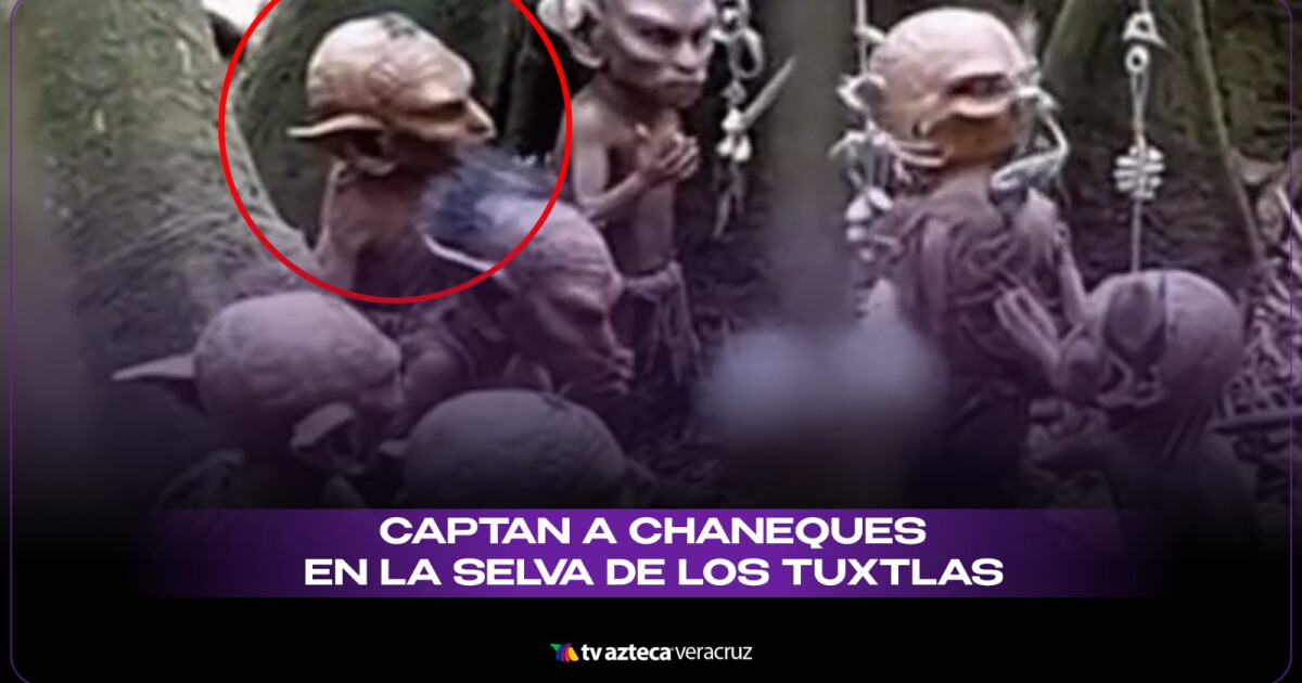 Chameques ¿Hay chaneques en la Selva de Los Tuxtlas en Veracruz?