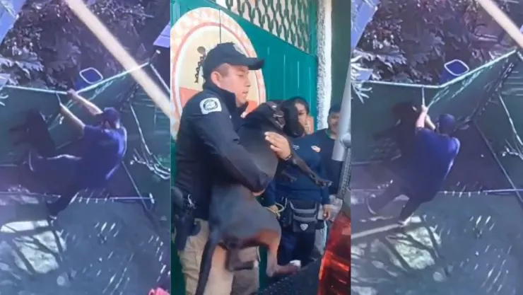 Hombre patea y asfixia a perro en hotel canino en la CDMX