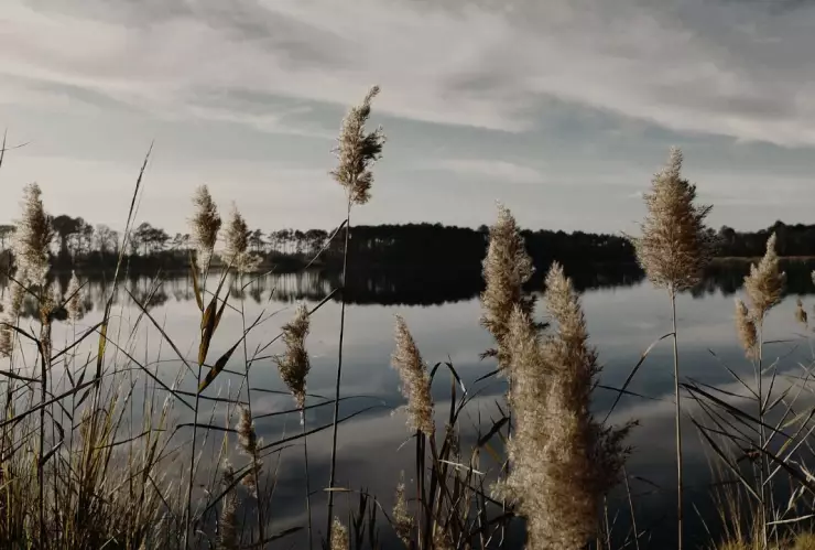 Niña muere ahogada en una presa