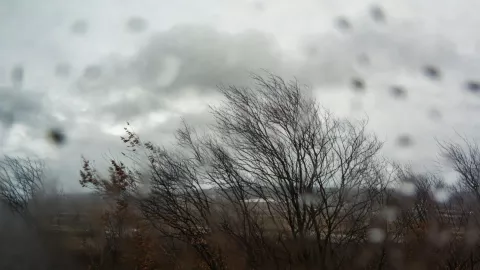 ¡Lluvias y menos de 10° grados en 13 municipios! ¿Cuáles Así el pronóstico del clima en Guanajuato hoy jueves 15 de enero.jpg