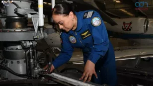  Secretaría de Marina: Su bolsa de trabajo 