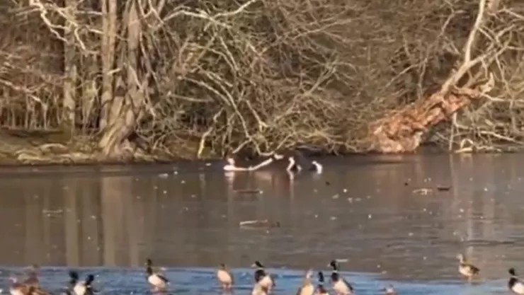 Se lanza a lago congelado para salvar a su perro y todo quedó grabado