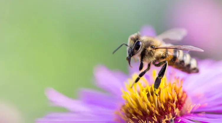 Estos son los cambios que tendrá tu signo antes del inicio de la primavera