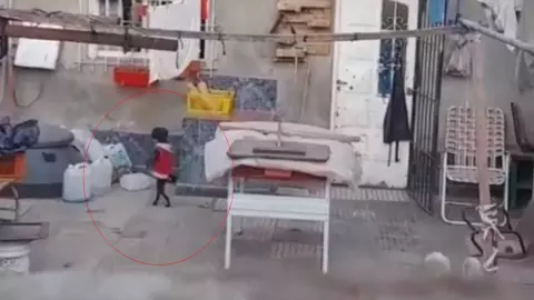 Captan a perro caminando en dos patas (VIDEO)