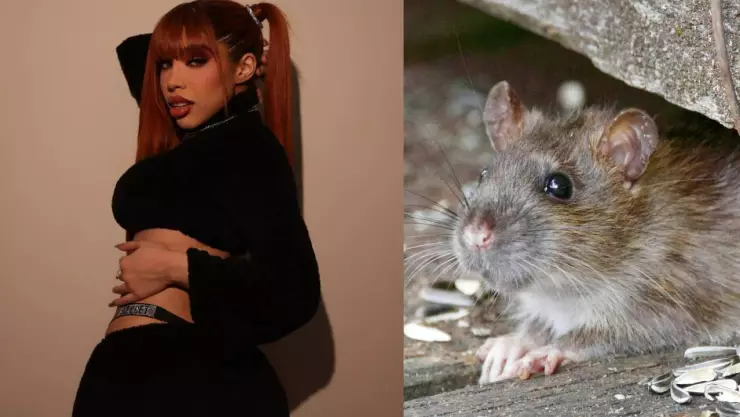 Yeri Mua preocupa por adoptar una rata que entró a su casa