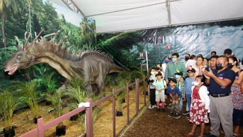 expo dino merida parque de la paz