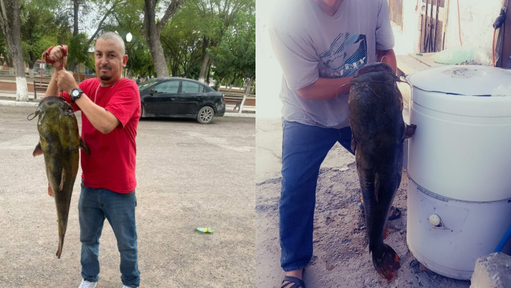 Pesca de Bagres en Chihuahua.