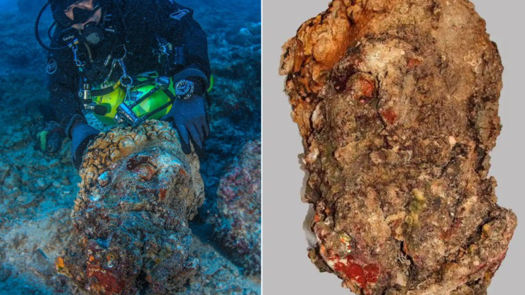 Cabeza del semidiós Hércules