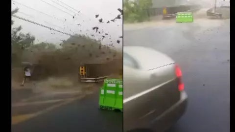 Cabeza de agua Costa Rica