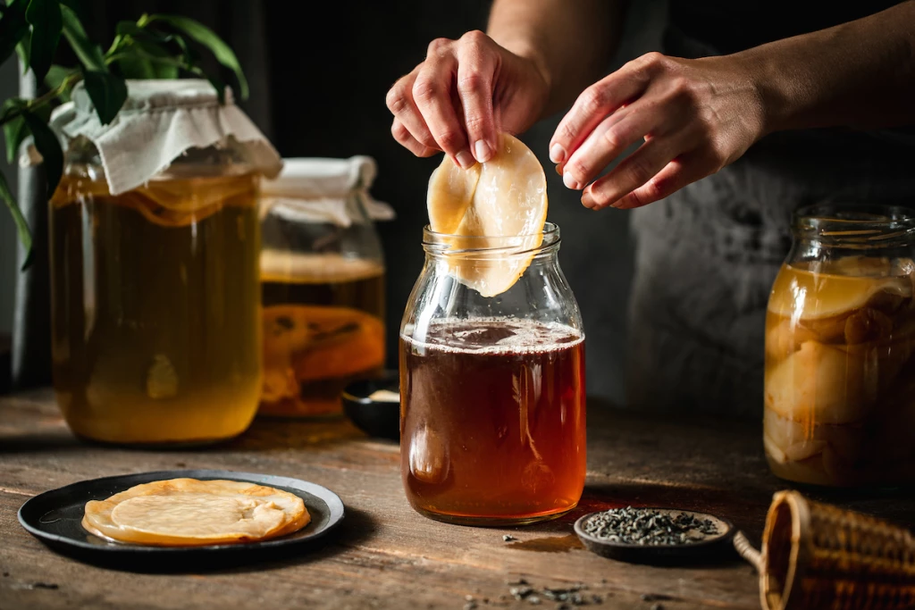 kombucha casera