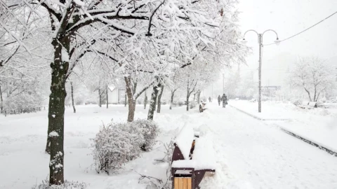 ¡Se vienen las primeras nevadas en Estados Unidos!