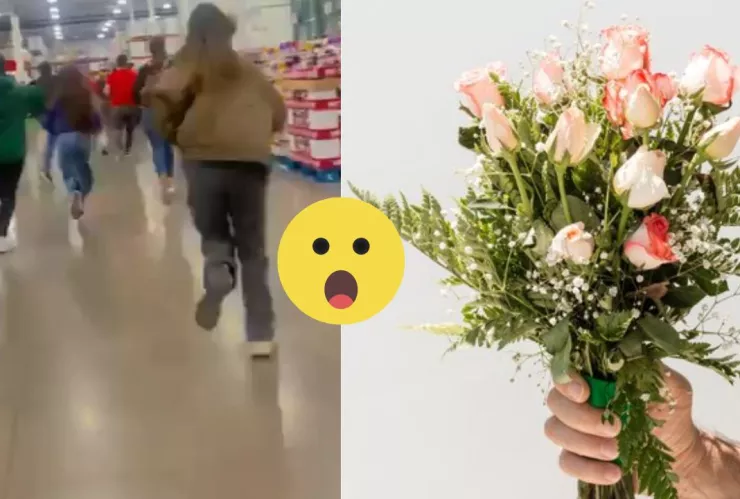 Revendedores de Costo van por flores