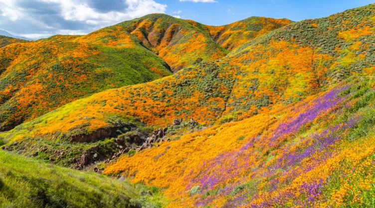 una hermosa vista panorámica del fenómeno al sur californiano