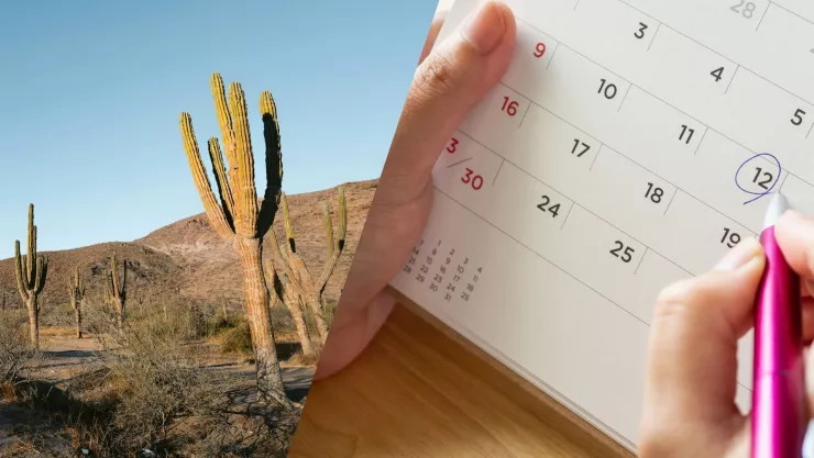 Baja California la temporada ideal para descubrir sus paisajes y sabore.jpg