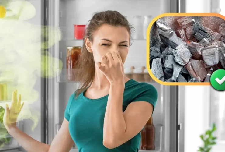 como-eliminar-malos-olores-nevera-carbon-de-barbacoa