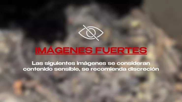 “Todavía estaba humeando”... Madres encuentran presunto crematorio clandestino en Lagos de Moreno