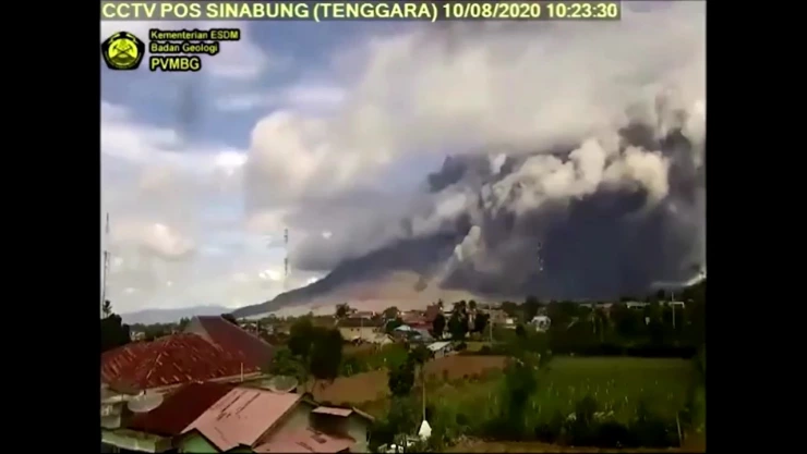 WhatsApp Image 2020-08-13 at 08.14.51.jpeg