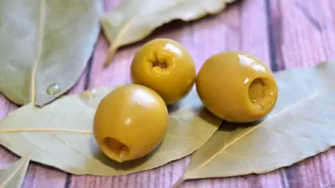 feria de la alegría y el olivo