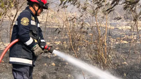 Bomberos contral INCENDIO en el Periférico de Mérida (FOTOS)