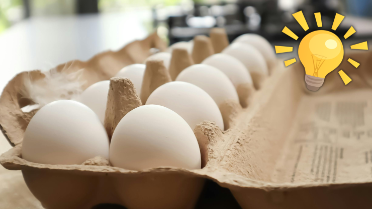 Qué hacer con los cartones de huevo: 4 ideas para darles un nuevo uso en el hogar