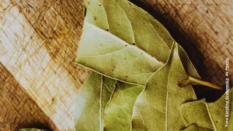 Beneficios de guardar hojas de laurel en tu cartera.
