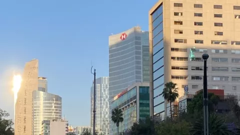 La exglorieta de la Palma amaneció sin ahuehuete luego de que este fuera removido