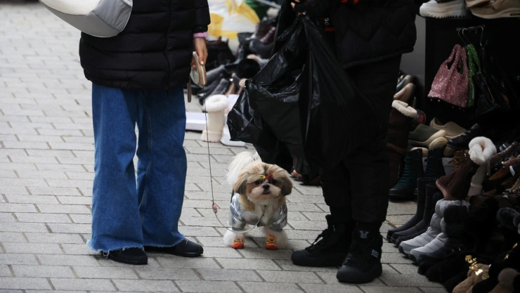 carne-de-perro-corea-del-sur-prohibicion