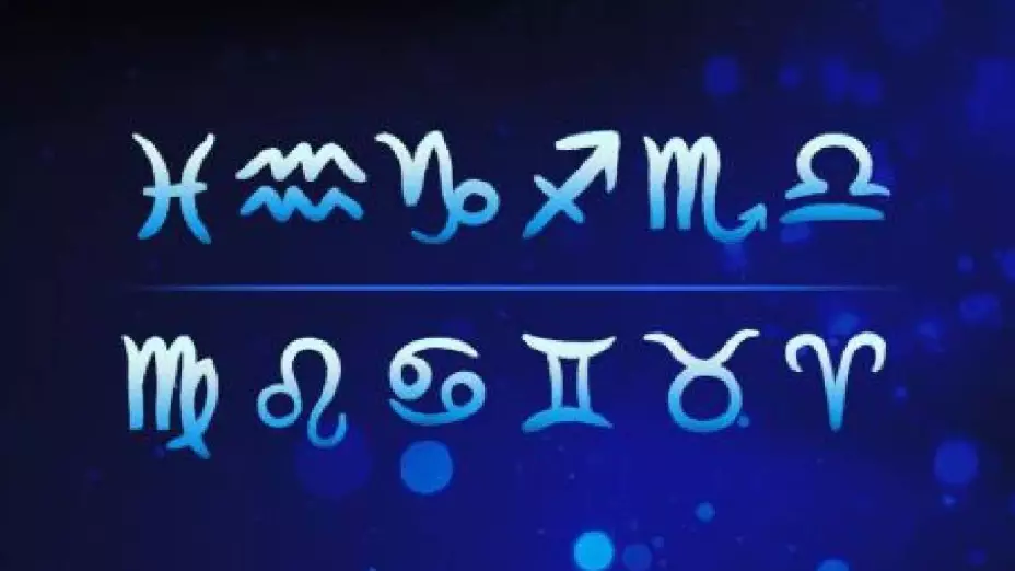 VIDEO Movilización por dos cuerpos sin vida hallados en Cholul