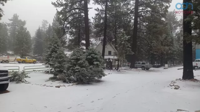  Cae la primera nevada de la temporada 